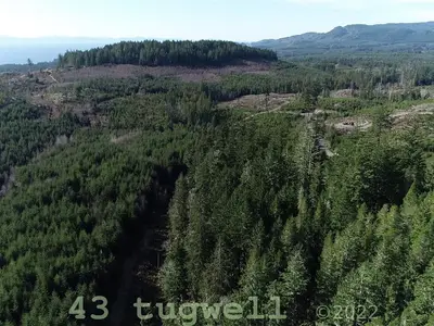 View 27