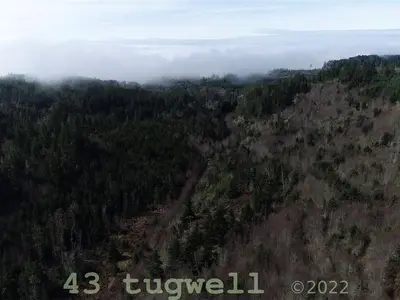 View 76