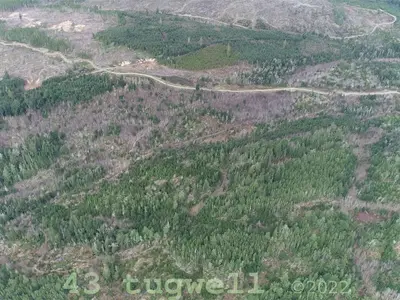 View 42