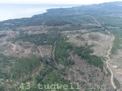 View 46