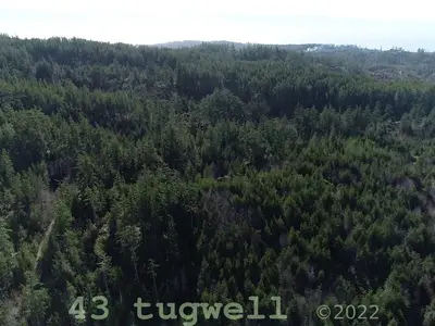 View 13