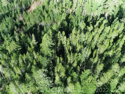 View 17