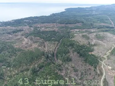 View 47