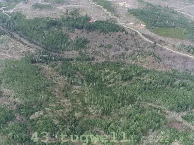 View 43