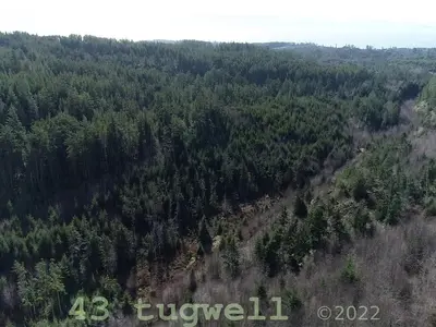 View 12