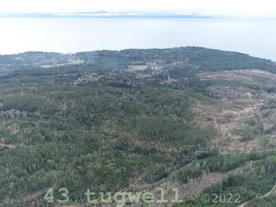View 53