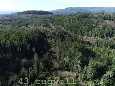 View 22