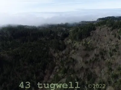 View 77