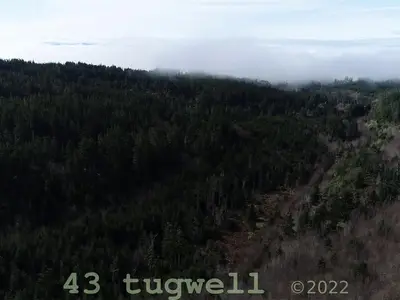 View 73