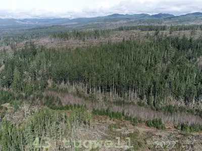 View 80