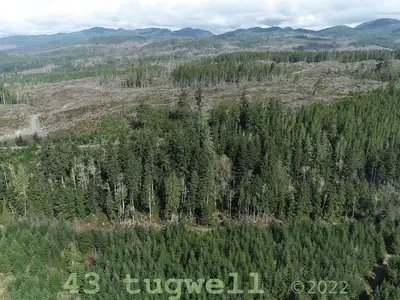 View 81