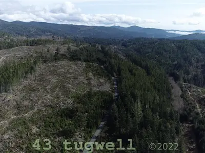 View 88