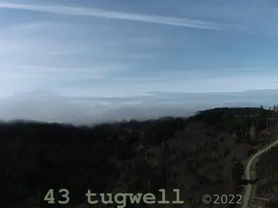 View 71