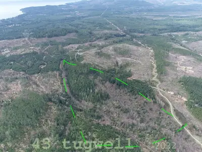 View 5
