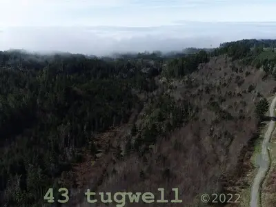 View 75