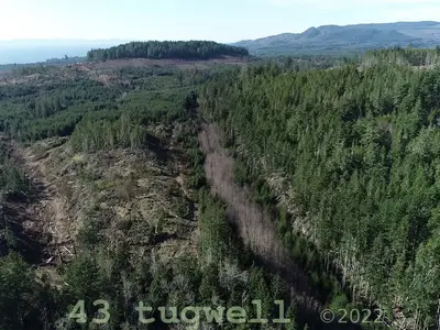 View 24