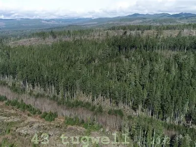 View 79
