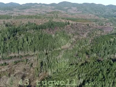 View 34