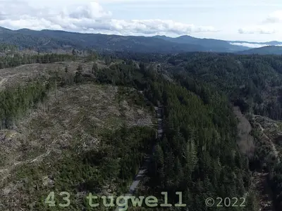 View 89