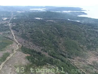 View 61