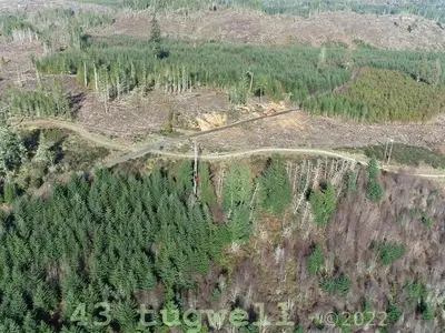 View 38