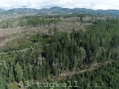 View 82