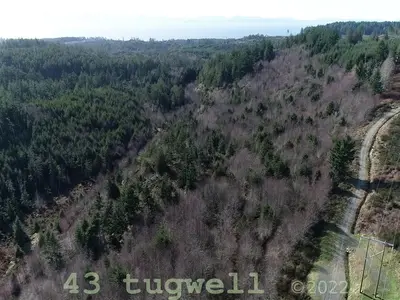 View 10
