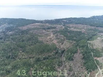 View 49