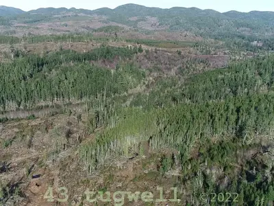 View 33