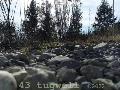 View 41