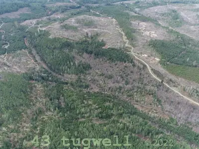 View 45