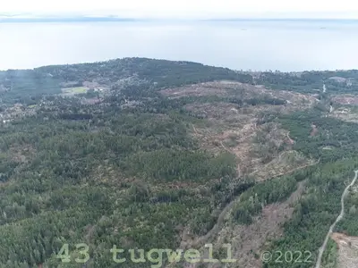 View 51