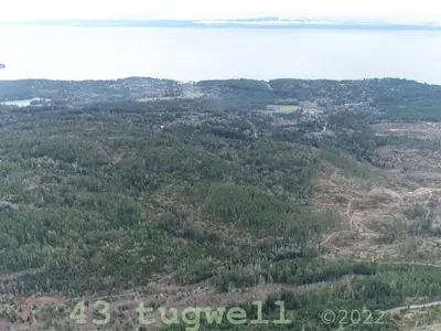 View 55