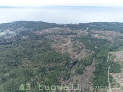 View 50