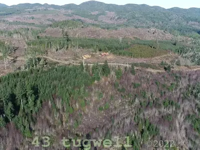 View 37