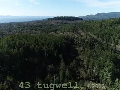 View 15