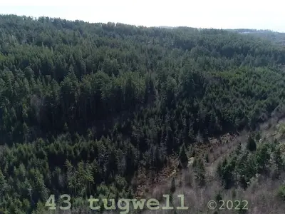 View 11