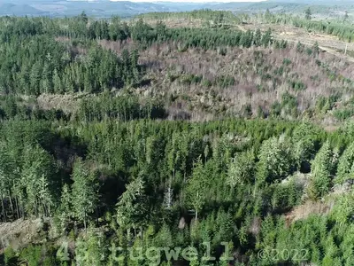 View 19