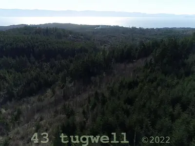 View 40
