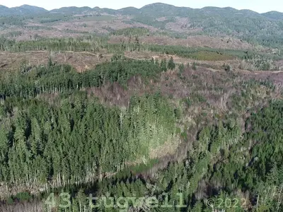 View 35