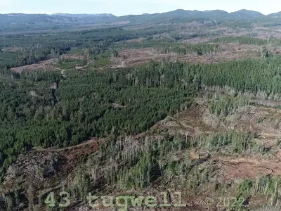View 31