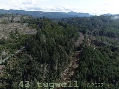 View 83