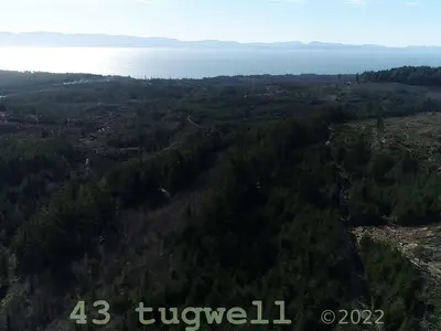 View 39