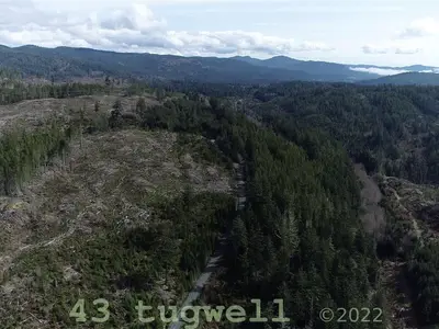 View 87