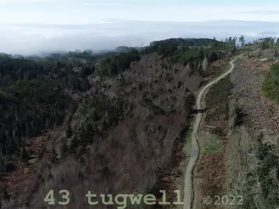 View 74