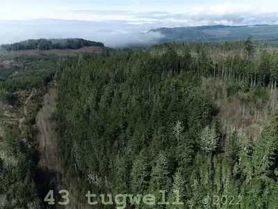 View 78