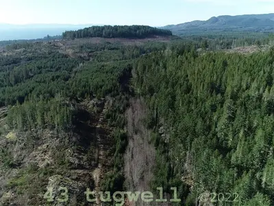 View 25