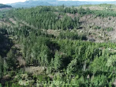 View 21