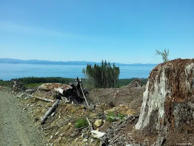 View 3