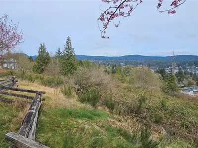 View 23